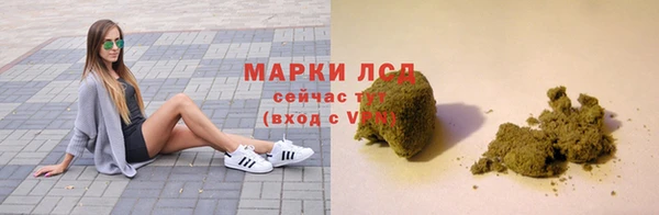 хмурый Алзамай