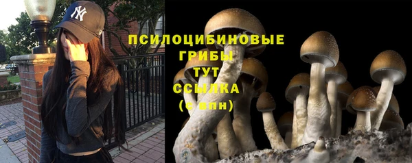 молекула духа Алексин