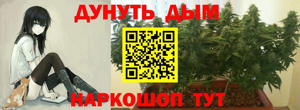 Каннабис VHQ Кимры